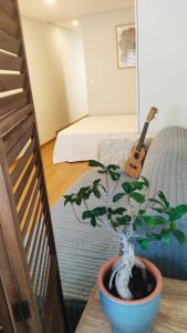 Casa Coral - Lodging & Culture