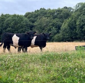 La petite maison dans la prairie