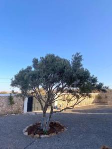 Villa dException a Sidi Kaouki-piscine chauffée