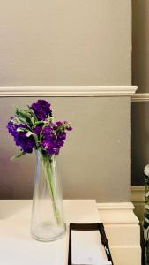 Entire apartment castle view - 10 mins from reading station town centre