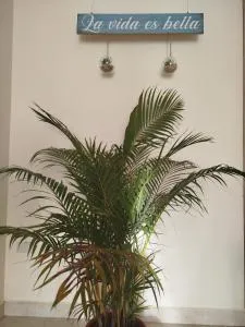 La Vida Es Bella - Anserma