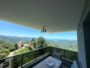 Doğa İle İç İçe Eşsiz Manzaralı Villa - Cayeli