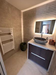 Appartement ROSE, Aéroport ST EXUPERY, Groupama stadium, Eurexpo, LDLC Arena