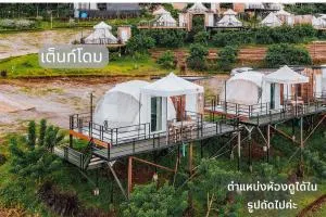 ม่อนดาวเรือง ม่อนแจ่ม - Ban Saia