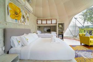 Serenity and Delight Glamping Dome