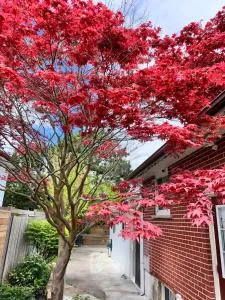 Riverwood Home - Three bed rooms - Erindale