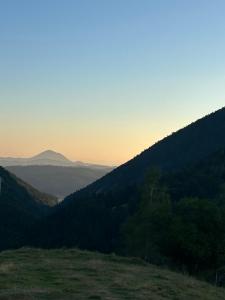 Casa Muchia lui Gîrniță