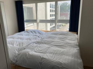 ホテル小樽キャナルビュー AMS東雲