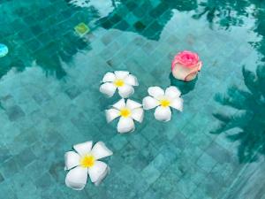 Chill Lay Resort Donsak