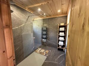 Appartements Chalet vue Mont Blanc avec jacuzzi exterieur : photos des chambres