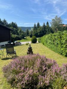 Appartements Gite de Montagne 