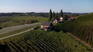 Hisa Vukan - Eco House in middle of vineyard with Sauna!