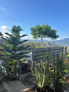 Mountain View Cabin 2