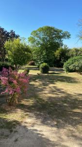 Appartements Luxury Gite - L-Ancien Chai : photos des chambres