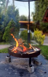 Apartament pod bukowym lasem