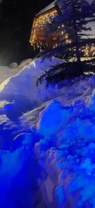 Apartament pod bukowym lasem