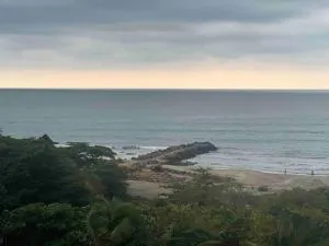 Seashells4u - Paithalmala