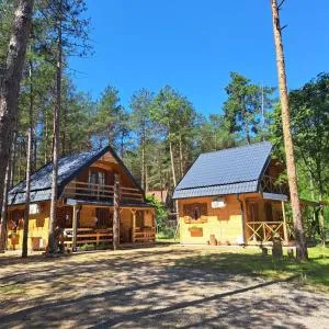 Vile Bliznakinje - Vinci