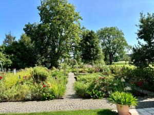 Ferienwohnung mit großzügiger Terrasse und Blick in die Natur