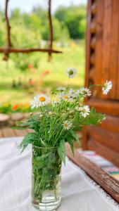 Cabana Trei Brazi Cacica