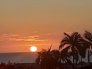 CAM Anna Sunset Avenue