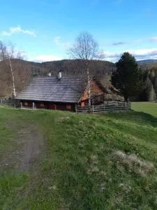 Larerhütte - Krakauebene