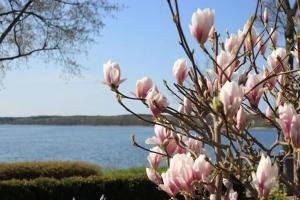 Fewo in Villa mit Seeblick OG