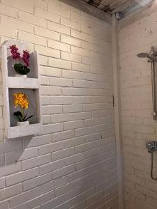 Mesari hut2 seminyak