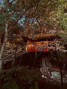 Forest TreeHouse