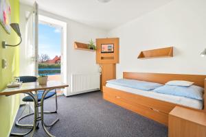 Single Room with Balcony room in Penzion Sirius