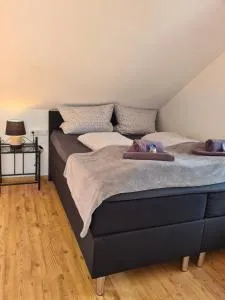 Apartment, Boxspringbett, ruhige Lage, Kassel Nähe - 索恩堡