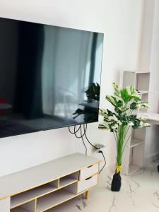Polco Rentals Pattaya