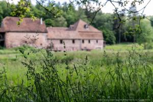 Maison dhôtes de charme - Ancien moulin en pleine nature - La Paulusmühle