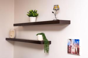 Quiet Apartment in Plovdiv Ricky Home