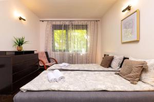 Quiet Apartment in Plovdiv Ricky Home