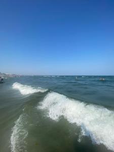 EDiMAR apartament Mamaia Nord