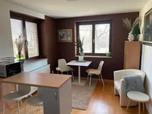 Útulný byt s parkovaním v objekte - 米亚瓦