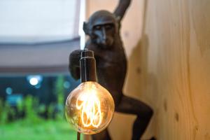 Mameloe - Ecohuisjes Terschelling