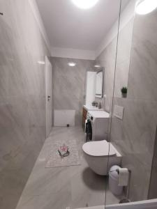 Apartament cu doua camere de lux