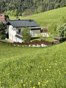 Ferienhaus Hochkönigblick - 普法尔韦尔芬