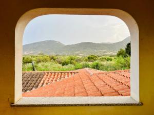 Geko's house img14