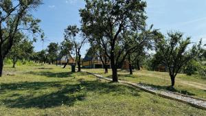 IezerVenture Cabins - ChiangMai