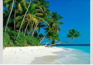 Airbnb at Sri Sayang Batu Ferringhi Beach - Ubytování bez kategorie ve městě Batu Feringgi