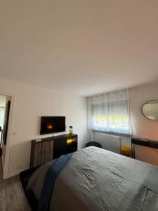 Appartements Magnifique Appartement : photos des chambres