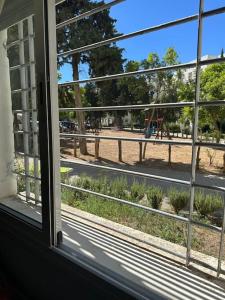 Forest near to the beach قرب المستشفى الجامعي طنجة