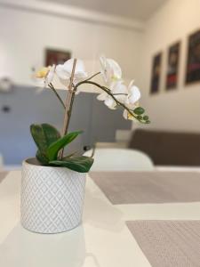 Bright apartment 2 min from metro-Centrale&Duomo