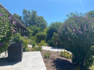 Peaceful gîte with stunning pool near market town
