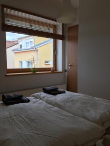 Apartmán v centru města