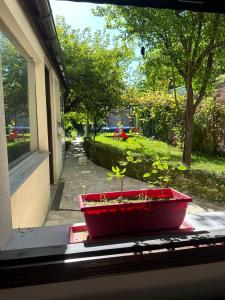 Studio Cosy à 20 min de Paris