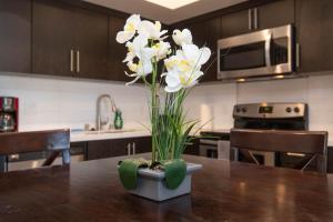 Two bedroom suite in Hollywood!